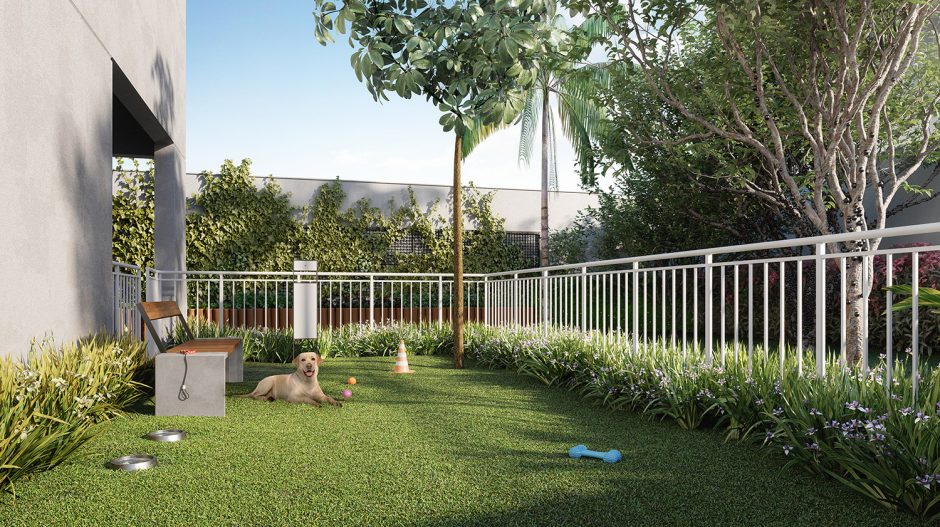 IMA-CARNEIRO-PET_PLACE-ALTA