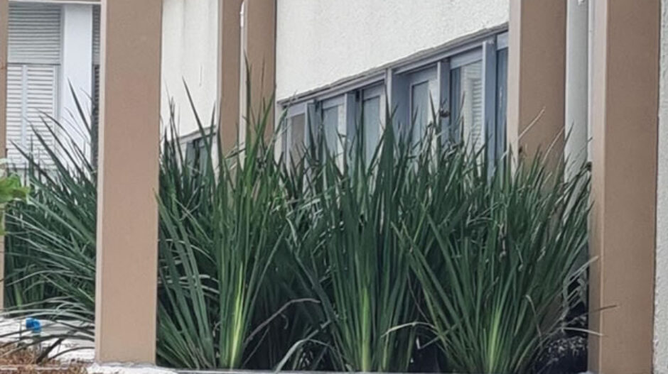 free-home-jardins-2-13