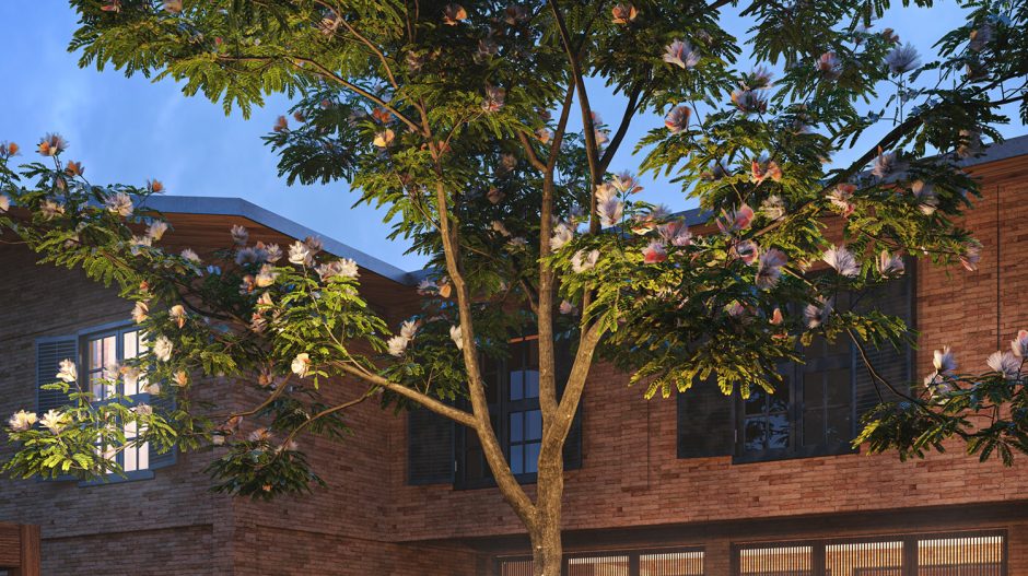 Quinta-da-Baroneza-CCS-10